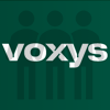 Voxys отзывы сотрудников