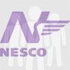Nesco отзывы сотрудников